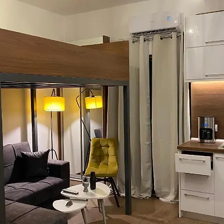 Modern Tiny House In Apartment *