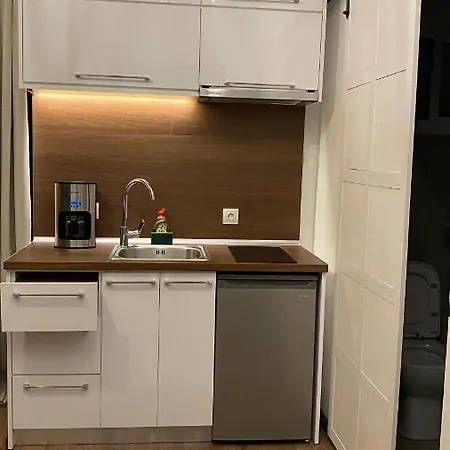 Modern Tiny House In Apartment *